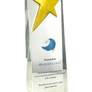 Buy Customised Trophies Onlines